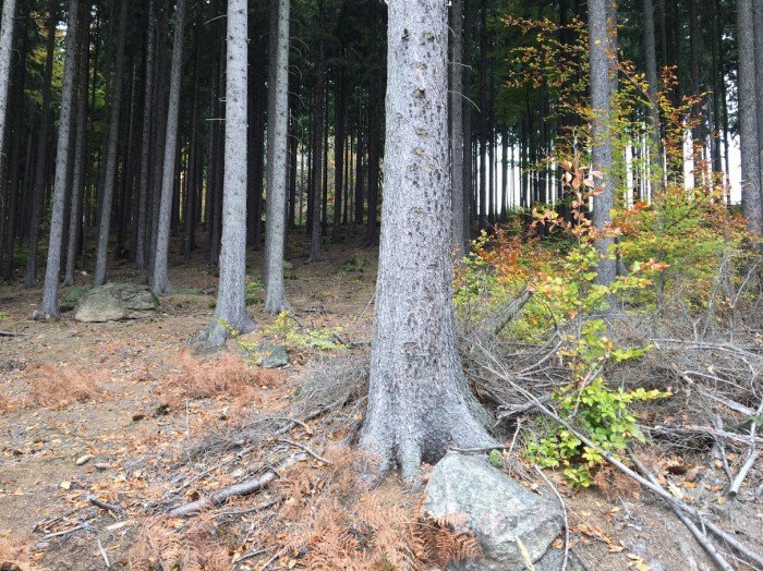 gora-gapy-widoki-jeszcze-piekniejsze-foto-71645