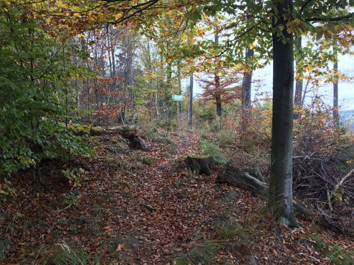 gora-gapy-widoki-jeszcze-piekniejsze-foto-71645
