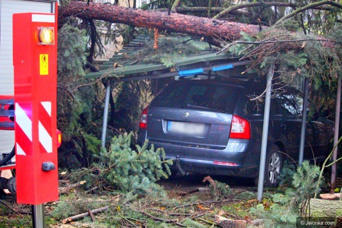 orkan-zbiera-zniwo-aktualizacja-foto-71687