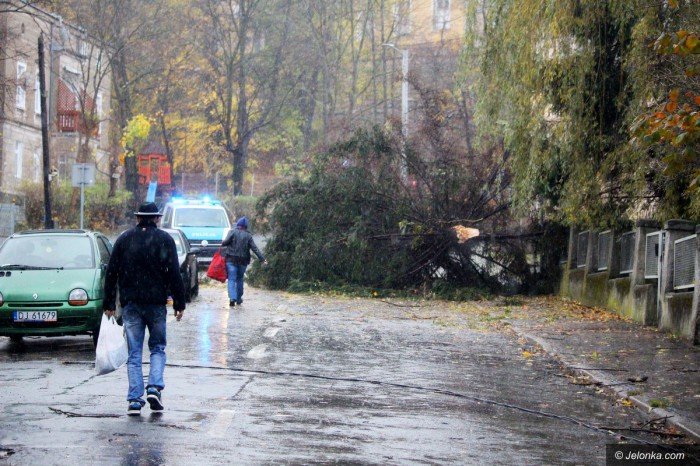 orkan-zbiera-zniwo-aktualizacja-foto-71687