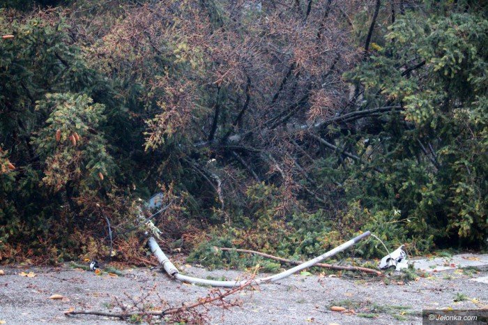 orkan-zbiera-zniwo-aktualizacja-foto-71687