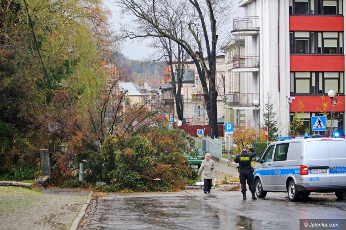 orkan-zbiera-zniwo-aktualizacja-foto-71687