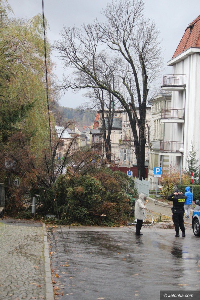 orkan-zbiera-zniwo-aktualizacja-foto-71687