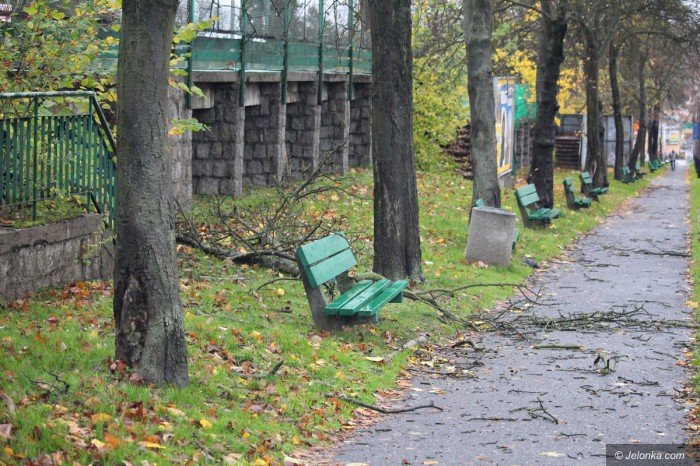 orkan-zbiera-zniwo-aktualizacja-foto-71687