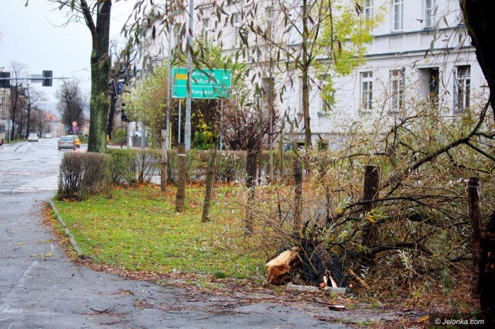 orkan-zbiera-zniwo-aktualizacja-foto-71687