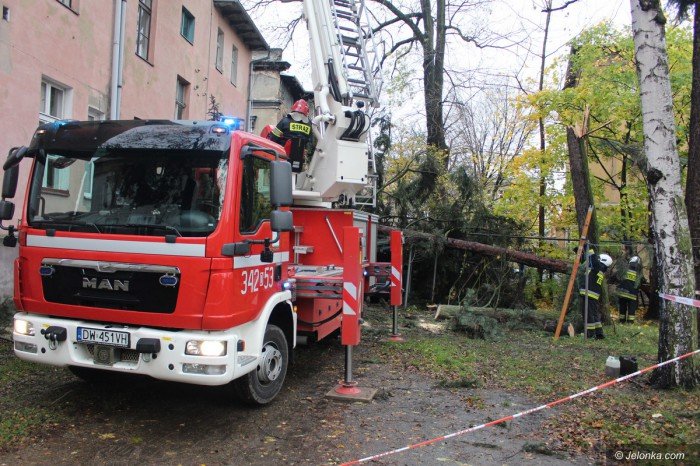orkan-zbiera-zniwo-aktualizacja-foto-71687