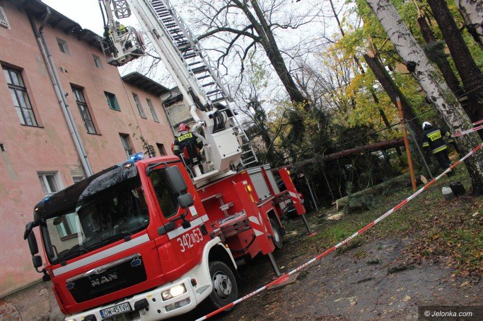 orkan-zbiera-zniwo-aktualizacja-foto-71687