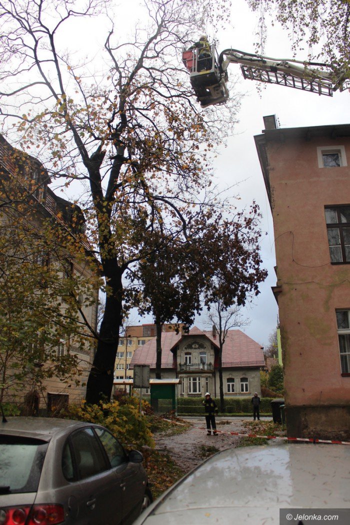 orkan-zbiera-zniwo-aktualizacja-foto-71687