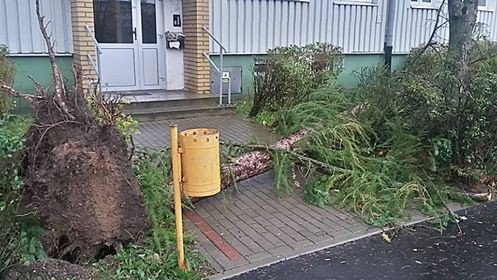 orkan-zbiera-zniwo-aktualizacja-foto-71687