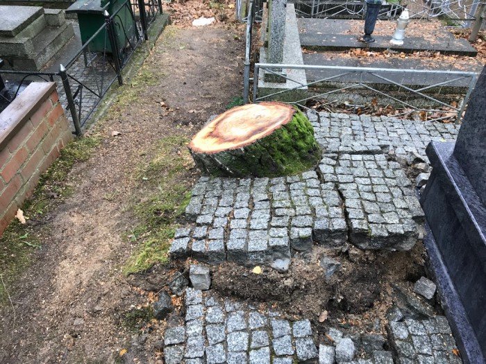 wielkie-sprzatanie-na-jeleniogorskich-cmentarzach-foto-71723