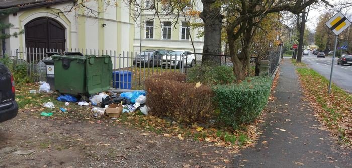 czytelnik-niechlujstwo-wywozacych-smieci-foto-71781