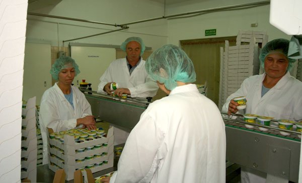 Hala produkcyjna Fromako.