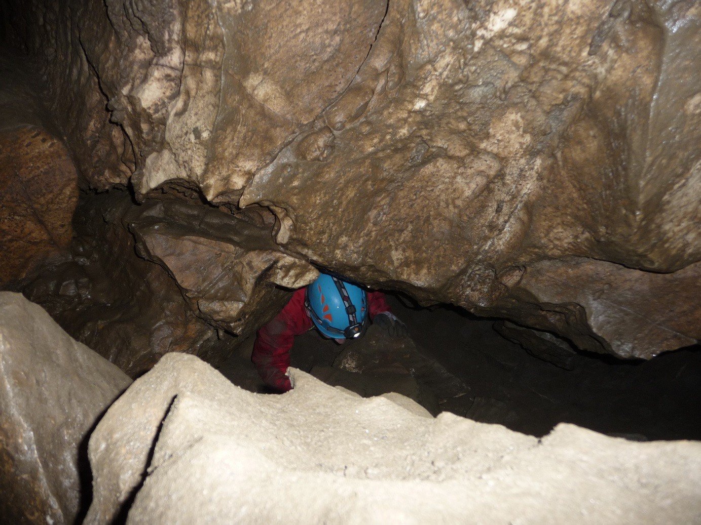 sala-mastodonta-w-sudetach-dla-turystow-foto-71855