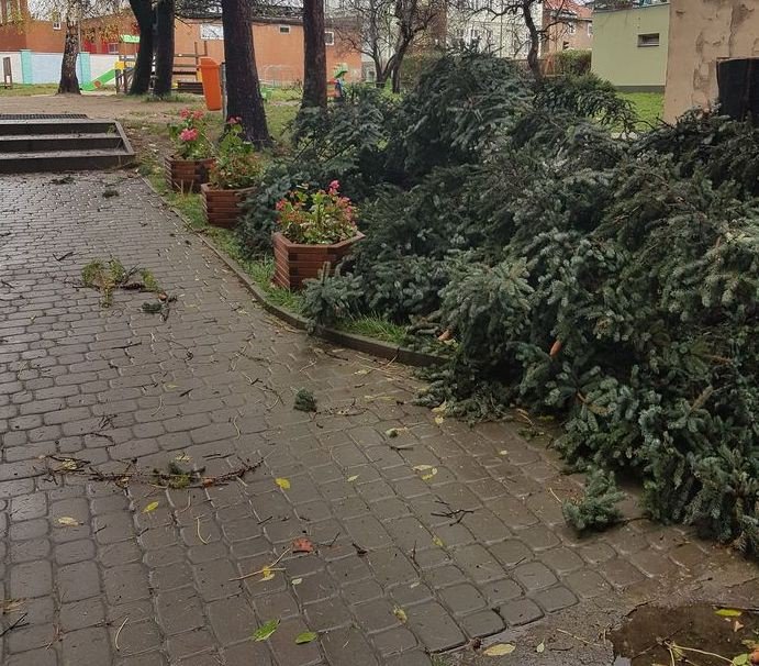 naprawiaja-szkody-w-szkoach-po-orkanie-foto-71858