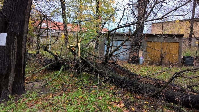 naprawiaja-szkody-w-szkoach-po-orkanie-foto-71858