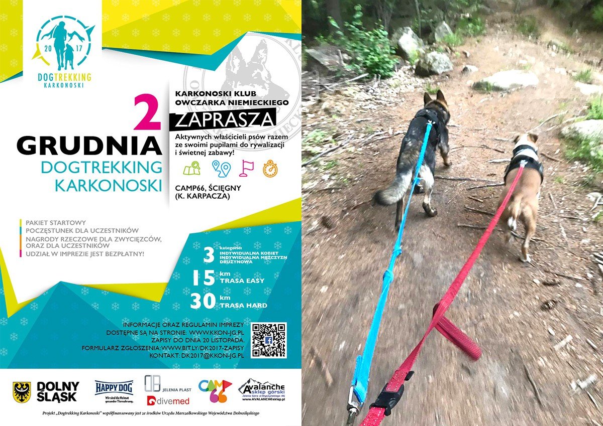 dogtrekking-karkonoski-trwaja-zapisy-71919