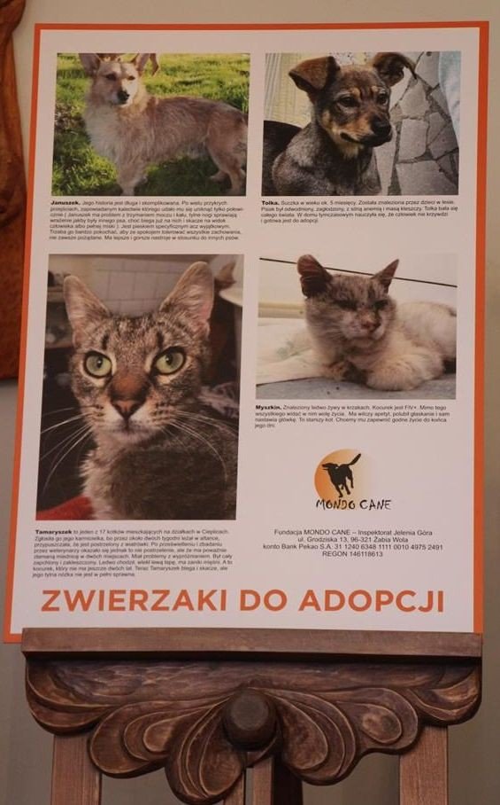 uczniowie-rzemios-goscili-mondo-cane-foto-72074