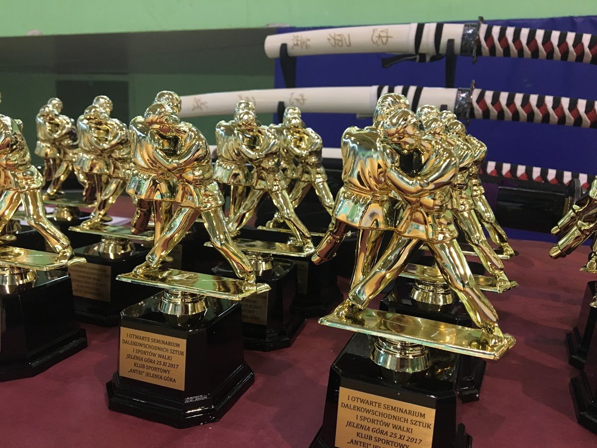 jujitsu-i-nie-tylko-seminarium-w-jeleniej-gorze-foto-72175