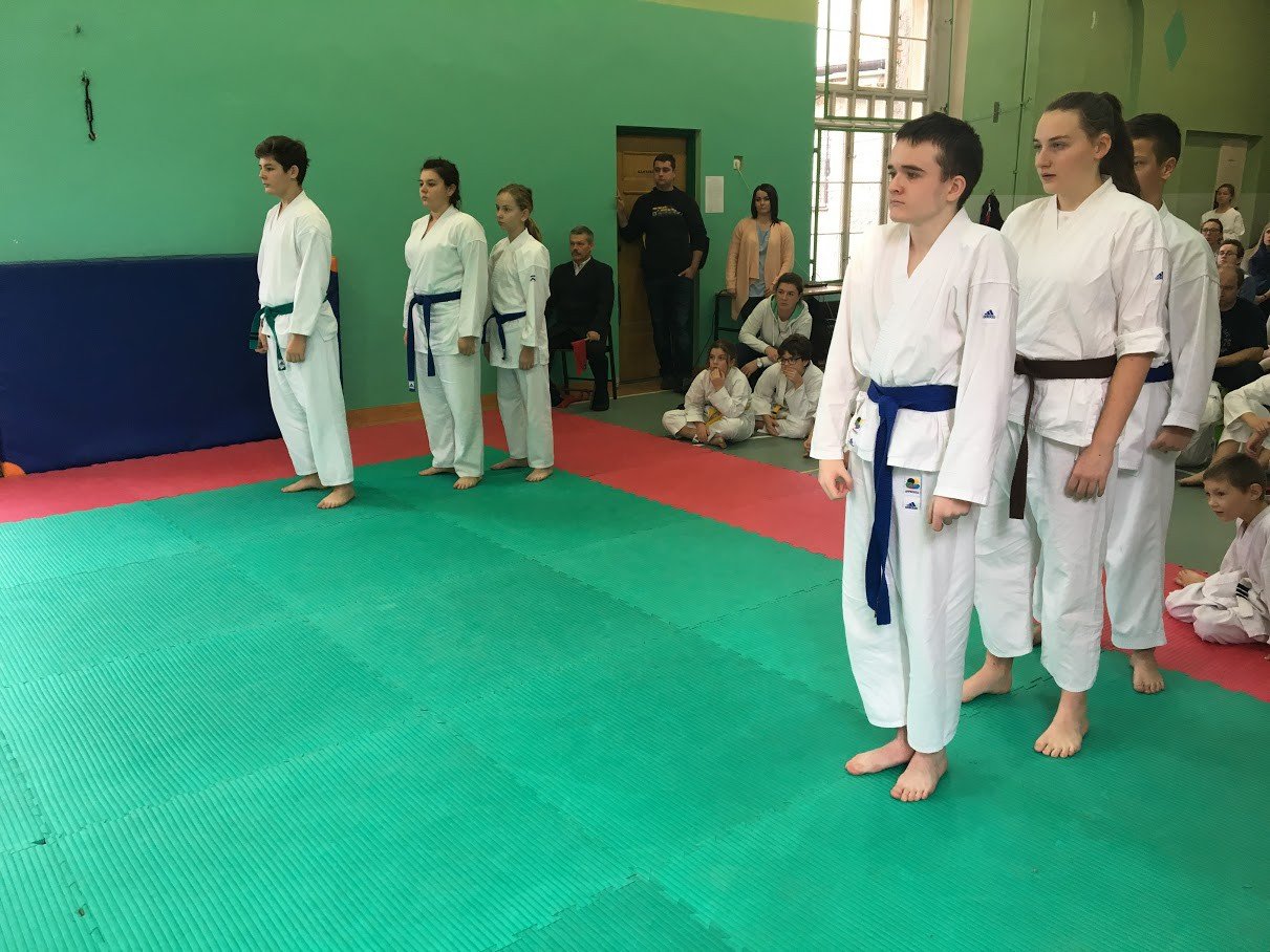 otwarte-powiatowe-mistrzostwa-w-karate-foto-72195