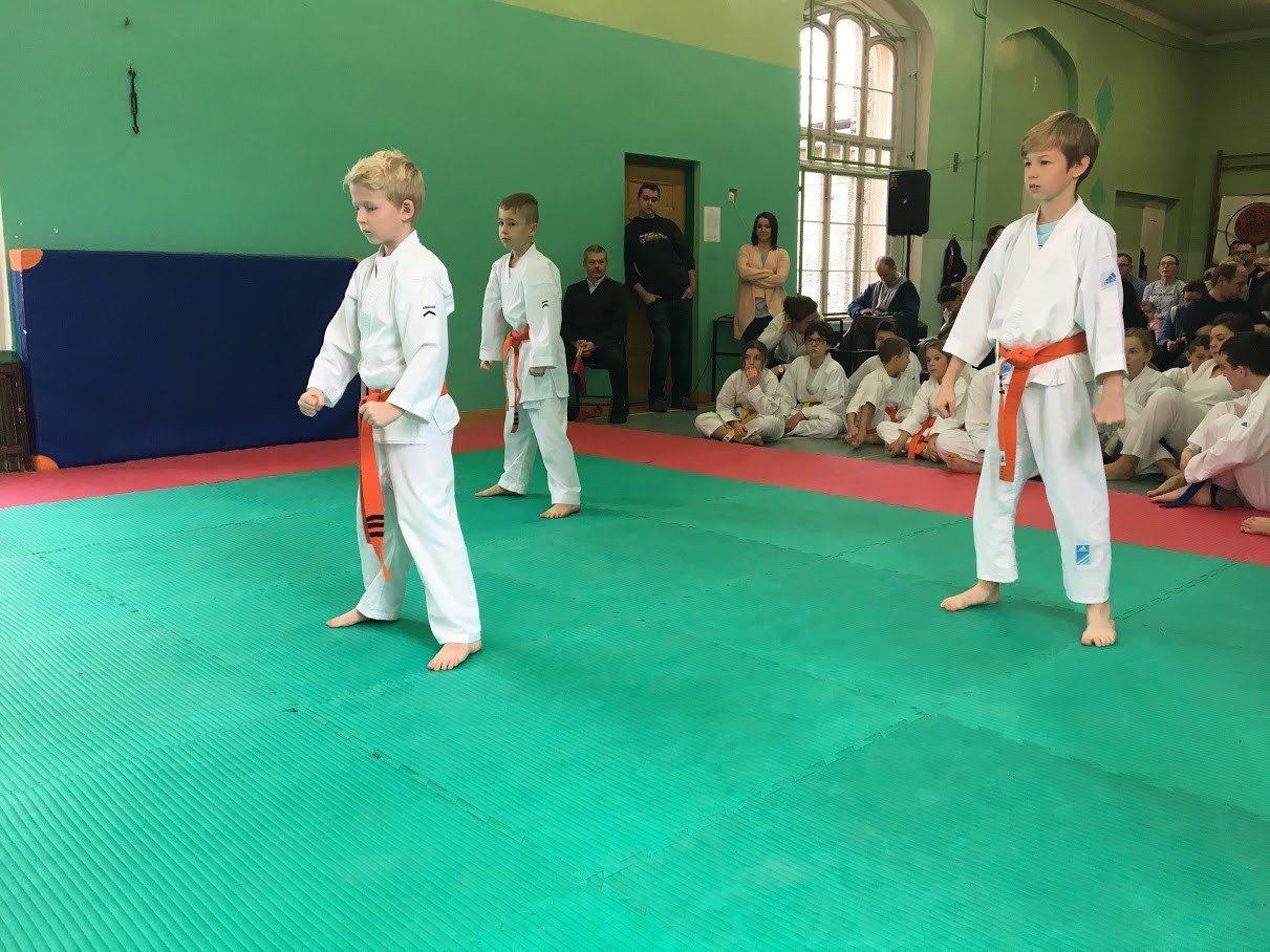 otwarte-powiatowe-mistrzostwa-w-karate-foto-72195