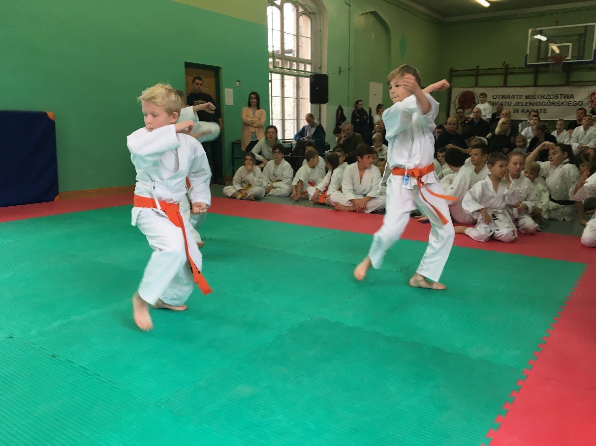 otwarte-powiatowe-mistrzostwa-w-karate-foto-72195