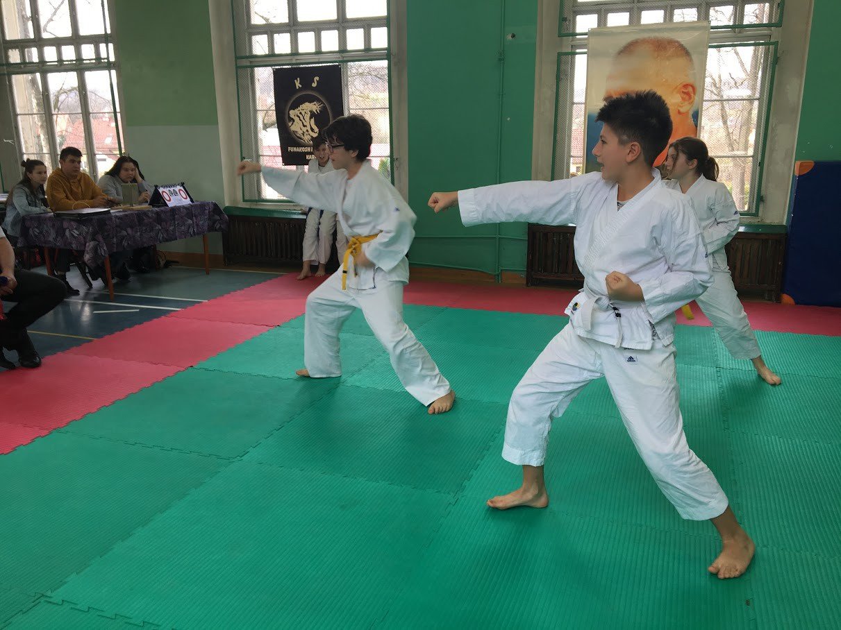 otwarte-powiatowe-mistrzostwa-w-karate-foto-72195