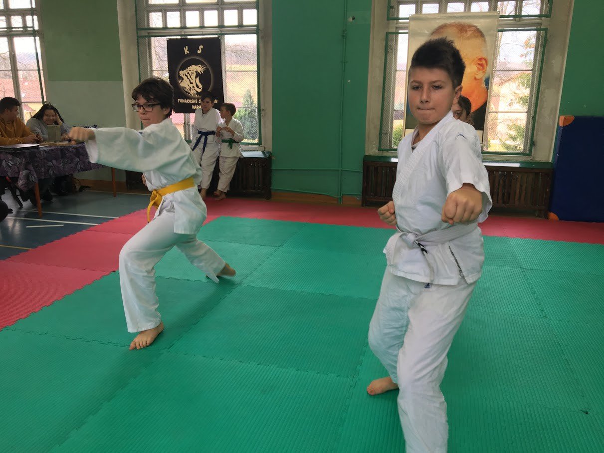 otwarte-powiatowe-mistrzostwa-w-karate-foto-72195