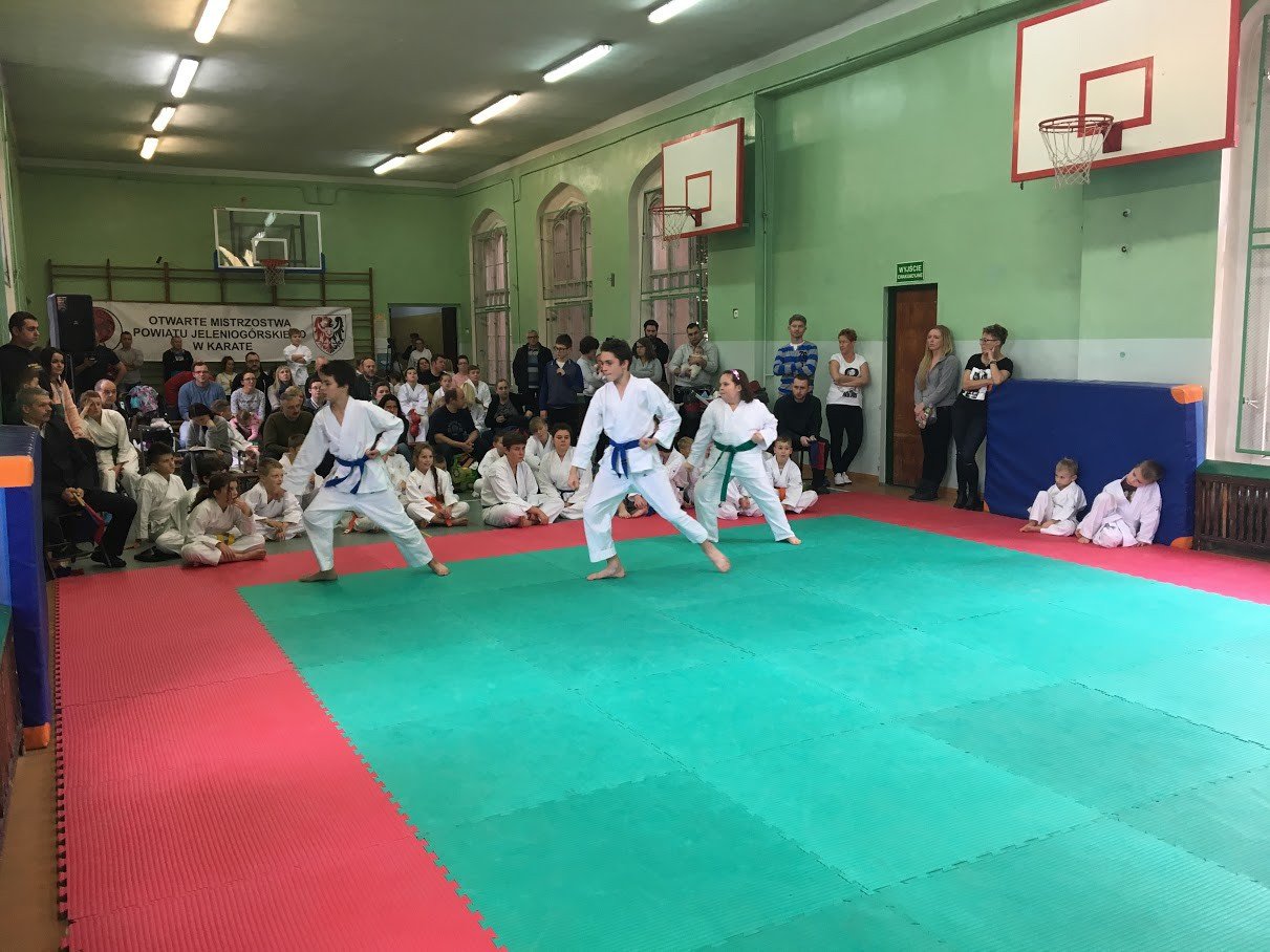 otwarte-powiatowe-mistrzostwa-w-karate-foto-72195