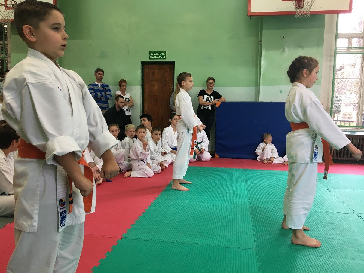 otwarte-powiatowe-mistrzostwa-w-karate-foto-72195