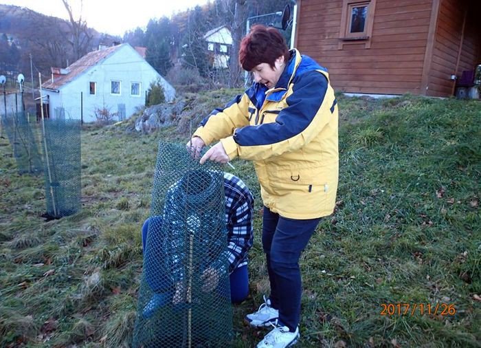 wisniowe-sady-wracaja-do-zachemia-foto-72290