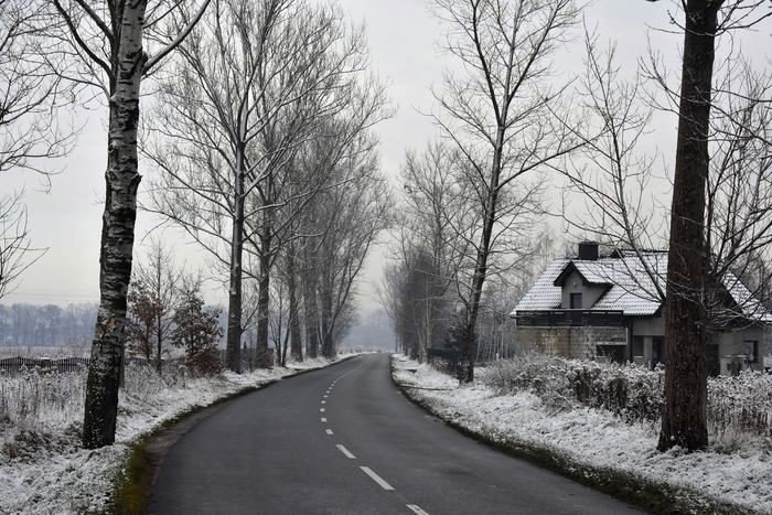 czytelniczka-ciemno-przy-dolnoslaskiej-foto-72354