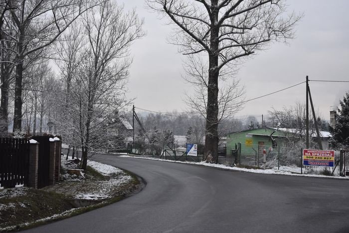 czytelniczka-ciemno-przy-dolnoslaskiej-foto-72354