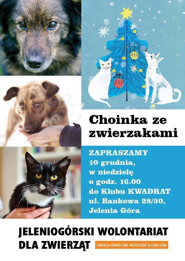 choinka-ze-zwierzakami-w-klubie-kwadrat-72428