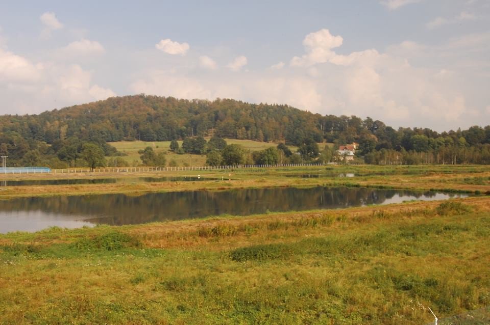 jak-to-sie-robi-grabarow-foto-72491