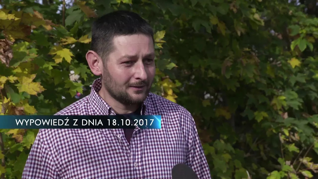 dlaczego-pszczoy-gina-video-72548