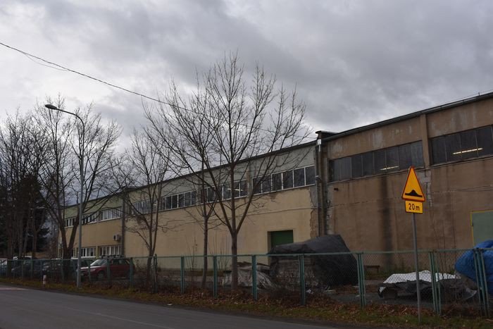zakady-drzewne-do-likwidacji-foto-72552