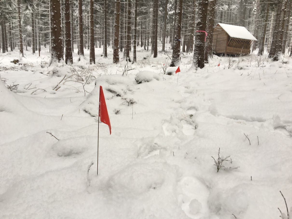 projektuja-trasy-single-track-w-naszym-regionie-foto-72652