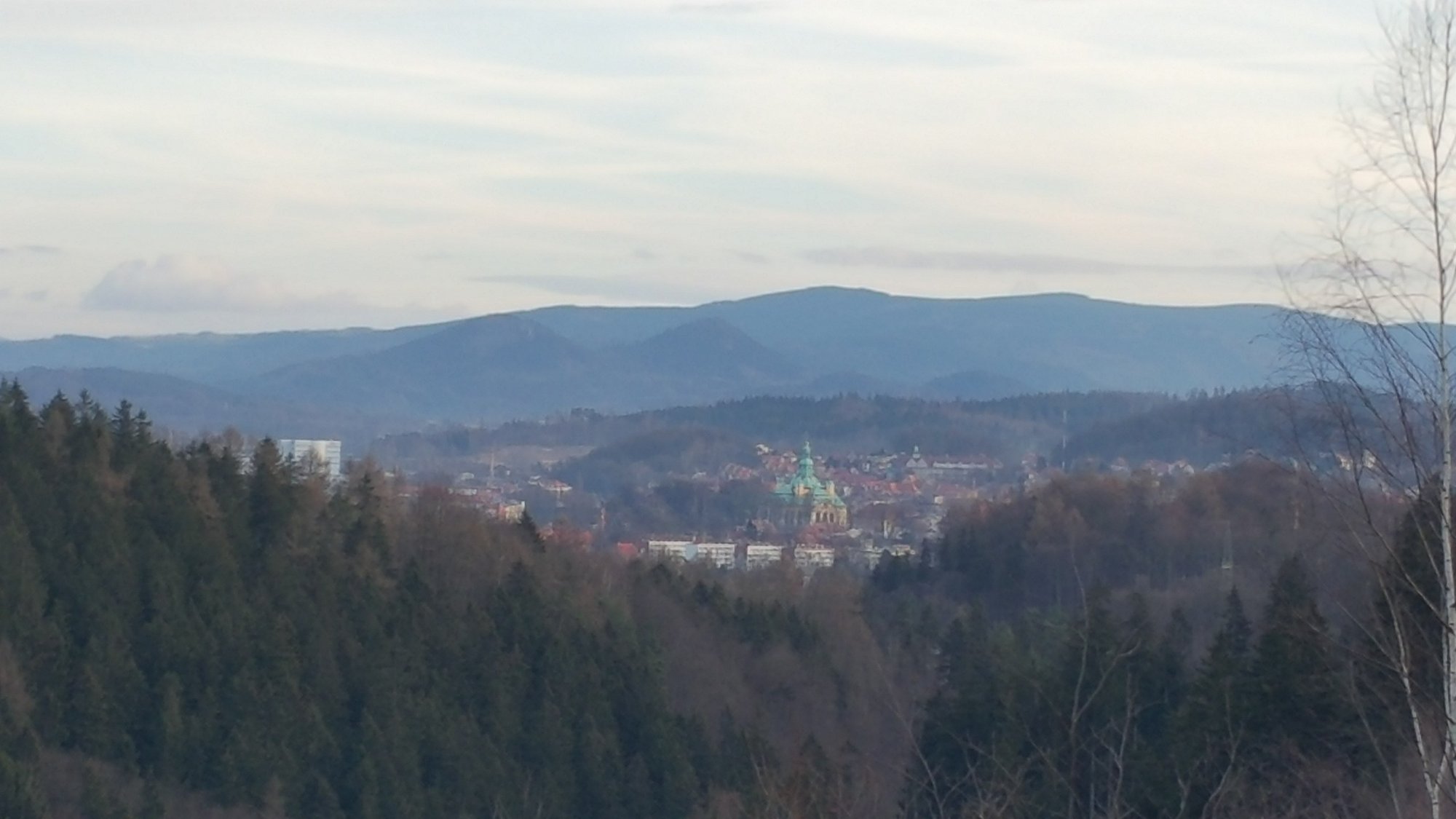 krol-na-sledzikowej-polanie-foto-72902