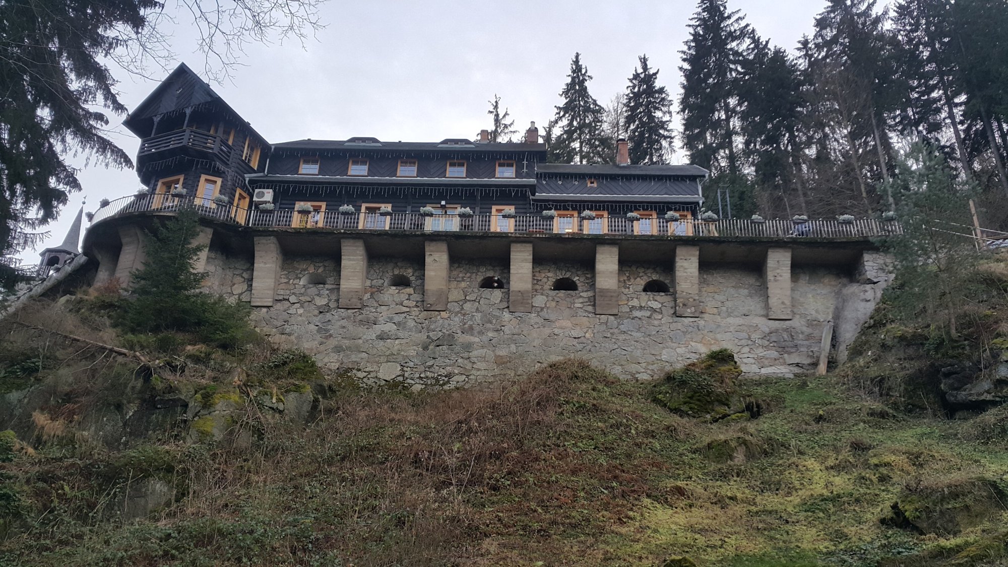 krol-na-sledzikowej-polanie-foto-72902