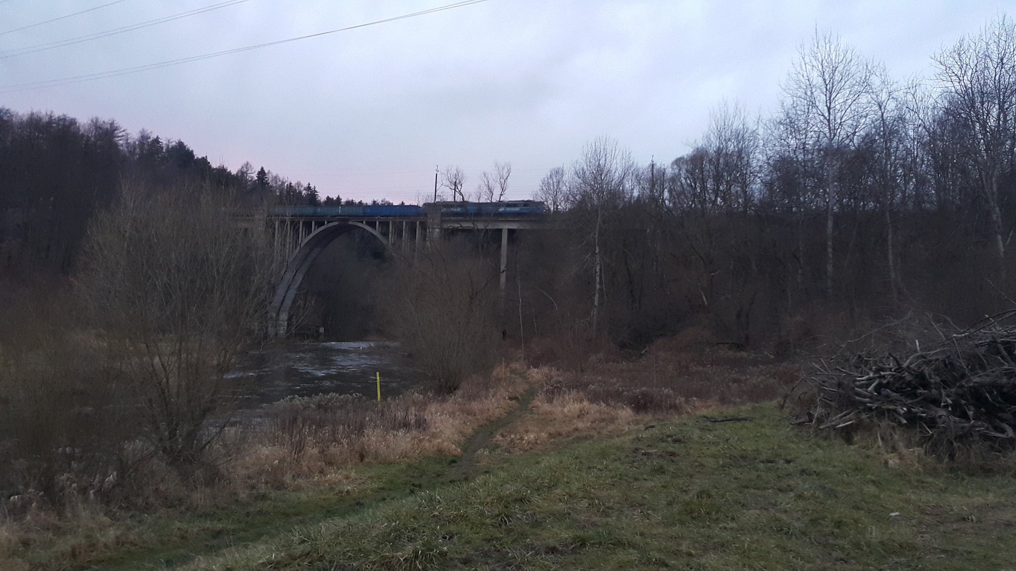 krol-na-sledzikowej-polanie-foto-72902