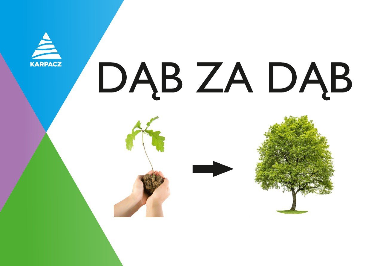 dab-za-dab-aktualizacja-72913