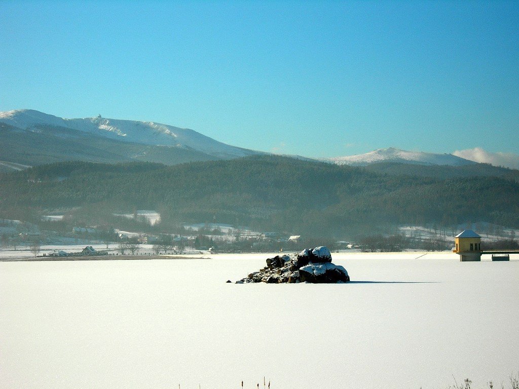 jak-to-sie-robi-sosnowka-foto-72961