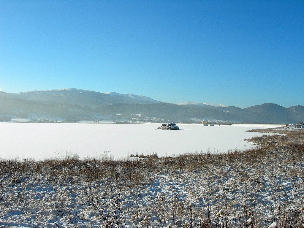 jak-to-sie-robi-sosnowka-foto-72961