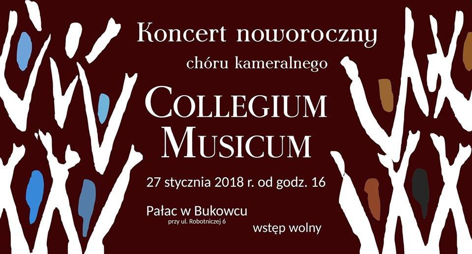koncert-noworoczny-w-paacu-bukowiec-73113