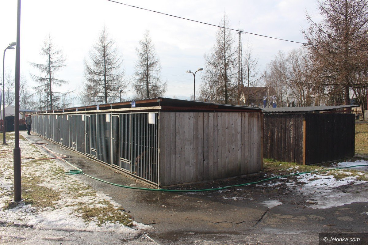 zmiany-w-jeleniogorskim-schronisku-foto-73127