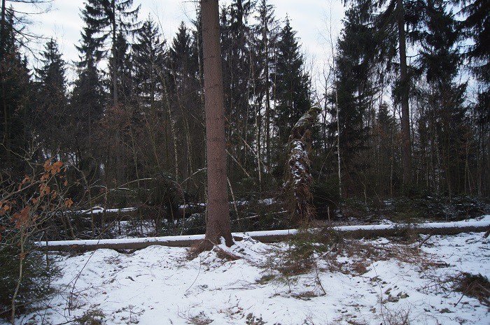 nie-wszystkie-drzewa-umieraja-stojac-foto-73223