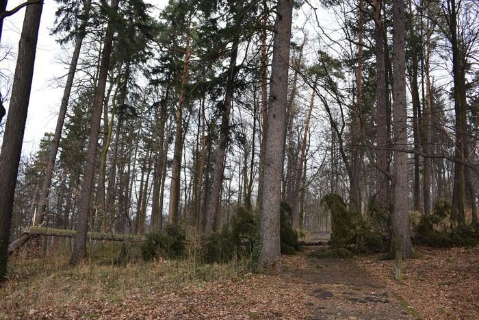 czytelnik-opuszczony-park-na-wzgorzu-kosciuszki-foto-73268