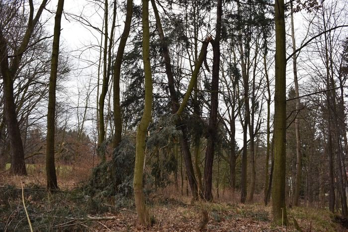 czytelnik-opuszczony-park-na-wzgorzu-kosciuszki-foto-73268
