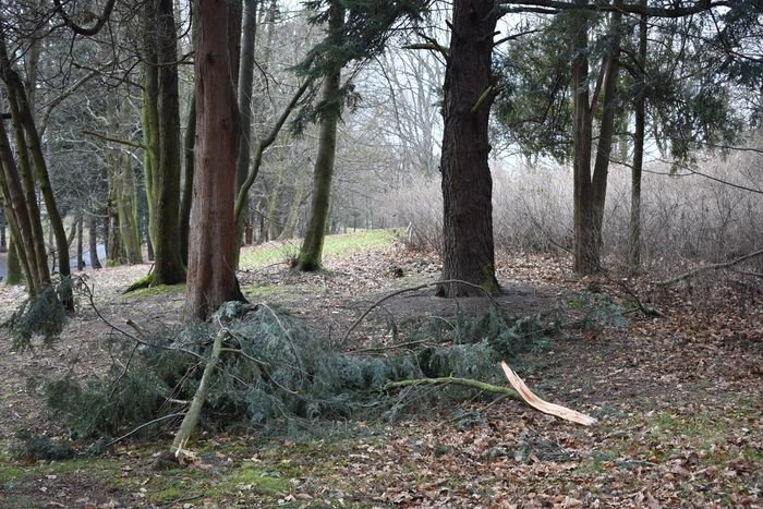 czytelnik-opuszczony-park-na-wzgorzu-kosciuszki-foto-73268