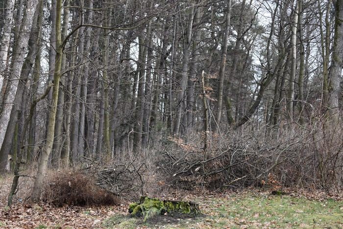 czytelnik-opuszczony-park-na-wzgorzu-kosciuszki-foto-73268